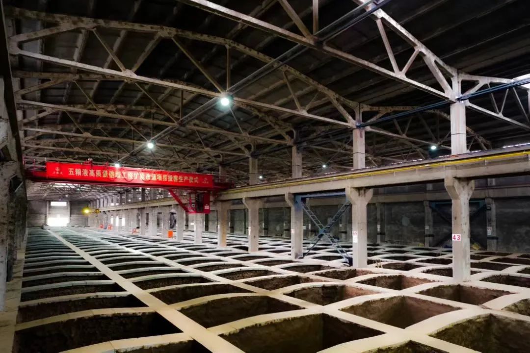 中国酿酒大师哪个酒厂最多?